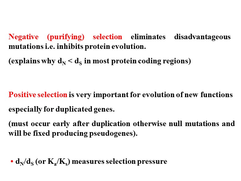 Negative (purifying) selection eliminates disadvantageous mutations i.e. inhibits protein evolution. (explains why dN <